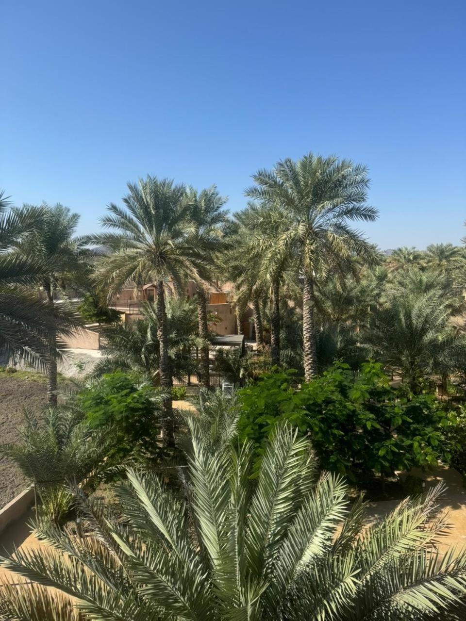Jawharat Alaqar Inn نزل جوهرة العقر 尼兹瓦 外观 照片
